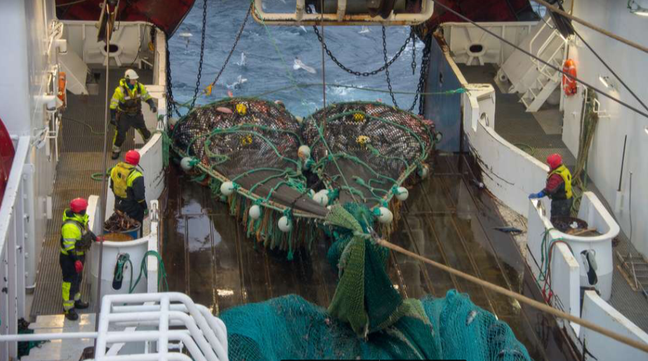 Norske trålekvoter tilbake til norske fiskere